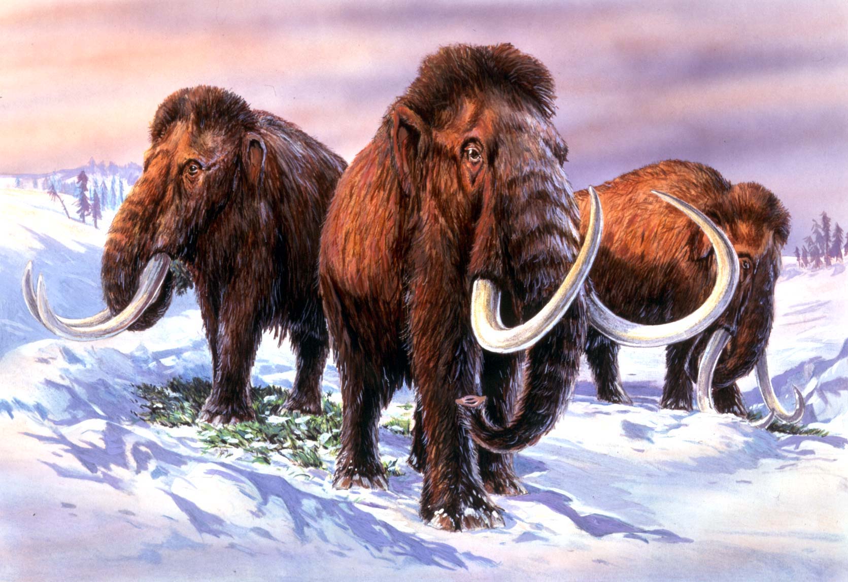 PA Images via Getty Images